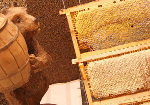 Przejdź do aktualności: ZAPRASZAMY NA TARGI EKOGALA 2025