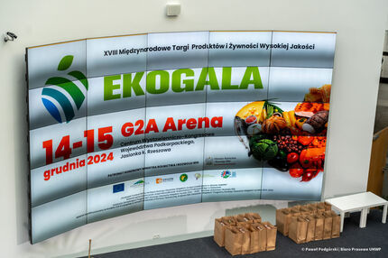 Logotypy EKOGALA - rzut z góry