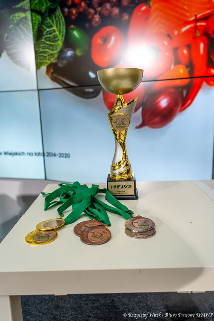 Statuetka dla laureata konkursu