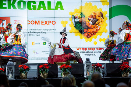 Zespół Ludowy Żołyniacy na scenie