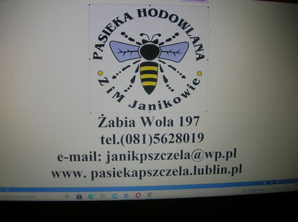 Logo firmy Pasieka Hodowlana Z.M Janikowie