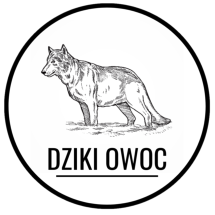 Logo firmy Dziki Owoc 