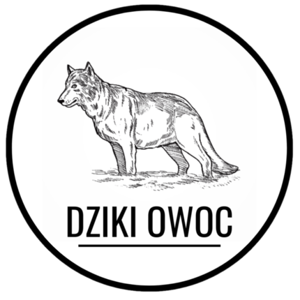 Logo wystawcy Dziki Owoc