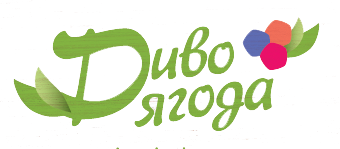 Logo firmy Dyvo Yagoda LLC