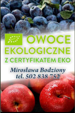 Logo firmy Owoce eko